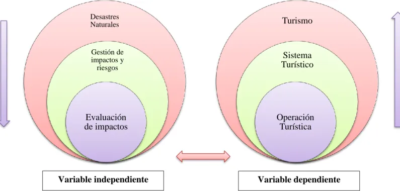 Gráfico 2. Superordinación conceptual 
