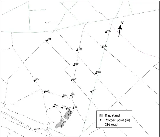 Figure 1 Localization of trap stands and release points in the M.galloprovincialis dispersal experiments