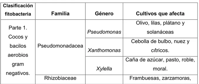 Tabla 1: Clasificación taxonómica de bacterias fitopatógenas y plantas hospederas.  