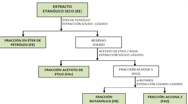 Figura 7: Fraccionamiento del extracto etanólico de las 4 especies de plantas. 