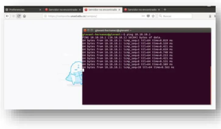 Figura 24. Validación de navegación a internet con la  configuración del server. (10 de diciembre de 2018)