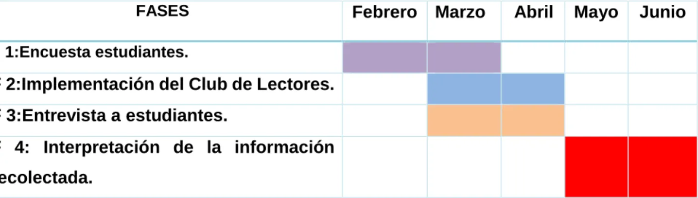 Tabla 3. Fases Metodológicas 