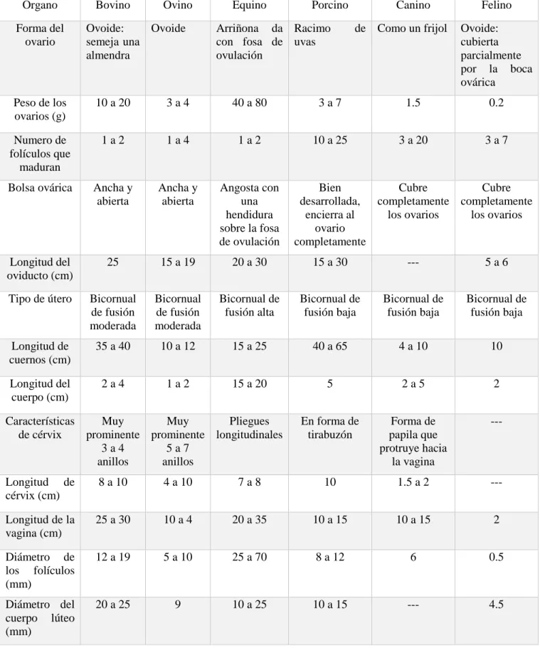 Tabla  2:  Características  de  los  órganos  reproductores  de  las  hembras  en  las  diferentes  especies domésticas