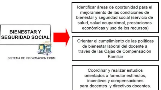 Figura 6. Administración de la carrera 