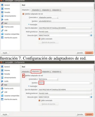 Ilustración 8. Configuración de adaptadores de red. 
