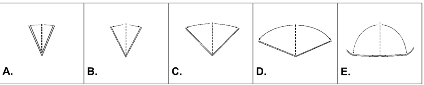 Figura 5. Clasificación para el hábito de crecimiento del tallo: A. erecto, B. semi-erecto,  C