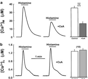 Figure 1 Effect of CsA on the [Ca 2þ ]