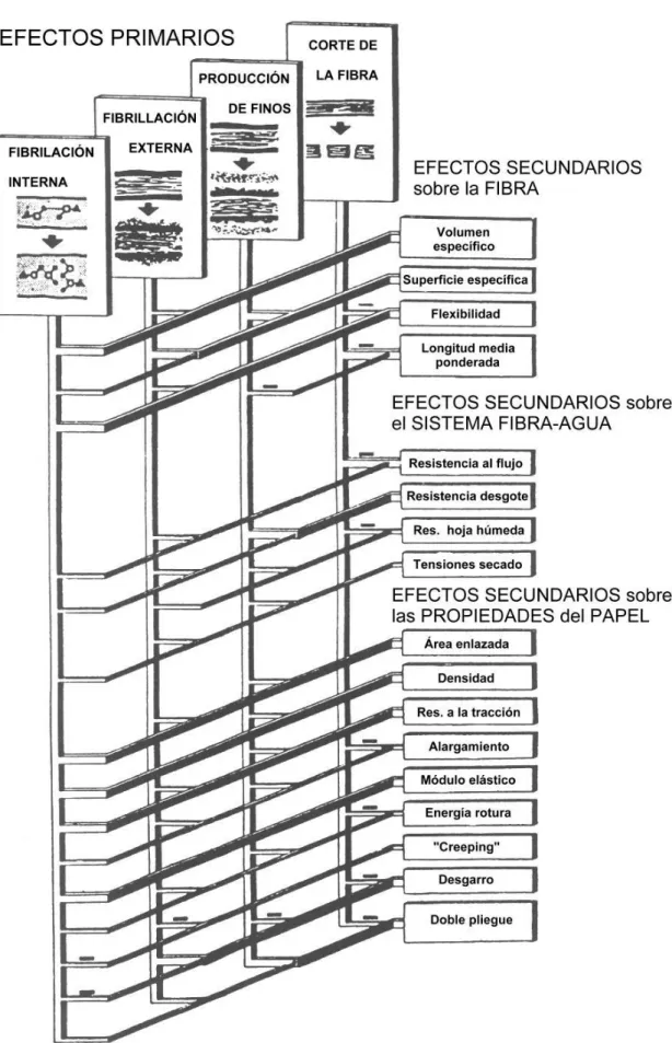 Figura I.3.14: Relación entre los efectos primarios y secundarios en el  refinado. 