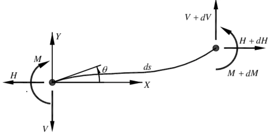 Figura 2. Equilibrio. Sistema global