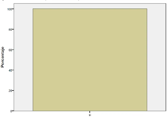 Figura 7. Instituciones que cuentan con plan de área de matemáticas 
