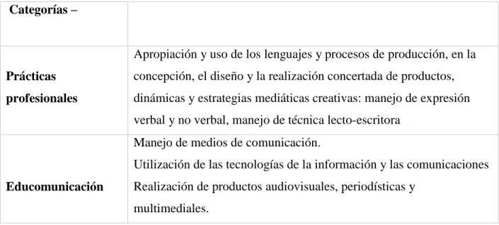 Tabla 3 Categorías y definiciones 
