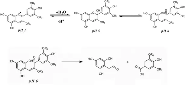 Figura  I4. Degradación de cianidinas en función del pH. Parte superior: 