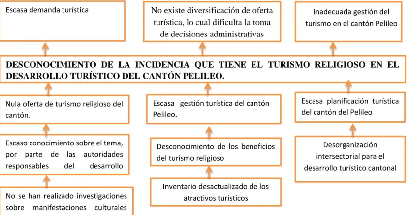 Gráfico Nº 1: Árbol de problemas 