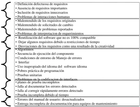 Ilustración 4 - Clasificación de Errores de software 