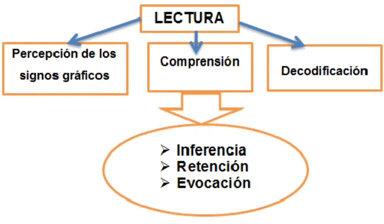 Figura 3. El proceso de  comprensión  