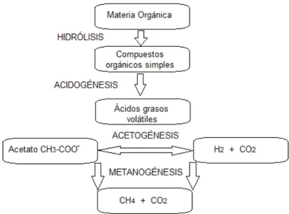 Figura I: Esquema general del proceso de digestión anaerobia 
