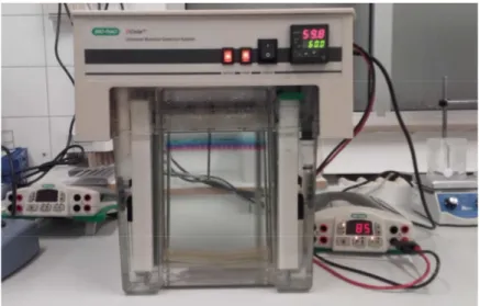 Figura  8:  Sistema  de  electroforesis  DCode TM   Universal  Mutation  Detection System 