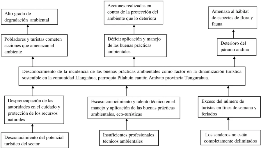 Gráfico 1 Árbol de problemas 