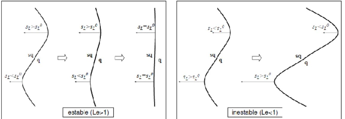 Fig  2.5. Evolución temporal de una perturbación del frente de llama en función del Le [13]