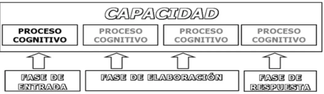 Figura 1  Capacidades Cognitivas