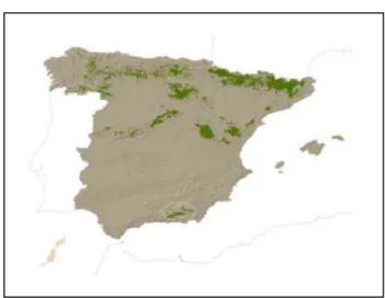 Tabla 1: Relación de comunidades autónomas con presencia de Pinus sylvestris L. en España