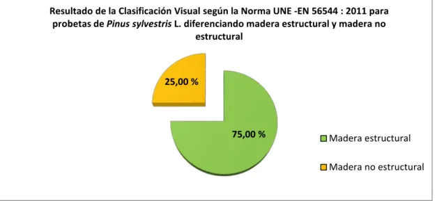 Figura  45:  Resultado de la Clasificación  Visual según la Norma  UNE-EN  56544:2011  para 