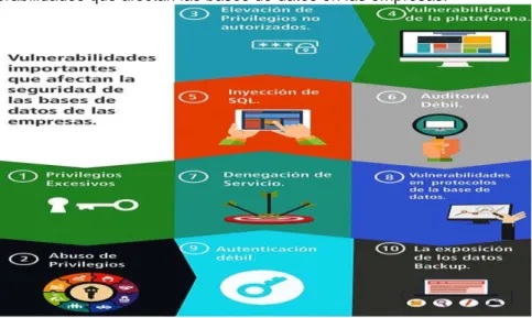 Figura  10. Vulnerabilidades que afectan las bases de datos en las empresas.  