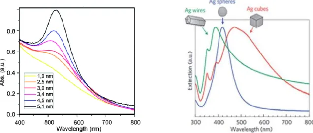 Figure 7. Light absorption of gold depending on the size of the nanoparticles (left) and light absorption of 