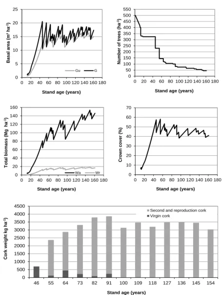 Figure 4: Evolution of a new cork oak plantation with the characteristics presented  in 3.1.1