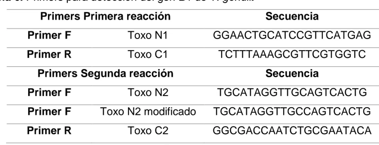 Tabla 6. Primers para detección del gen B1 de T. gondii. 