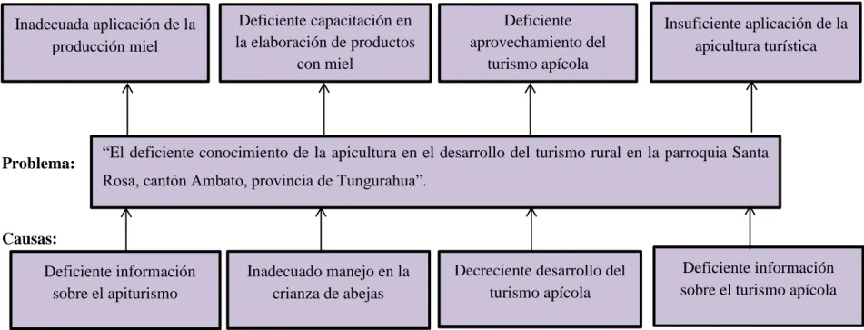 Gráfico N° 1   Árbol de Problemas 