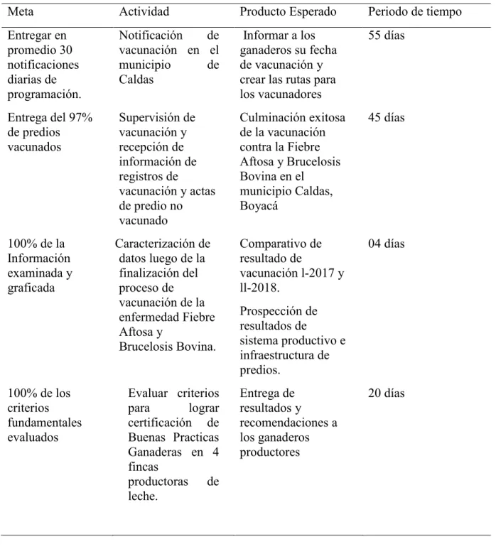 Tabla 1: Cronograma de actividades de pasantía 
