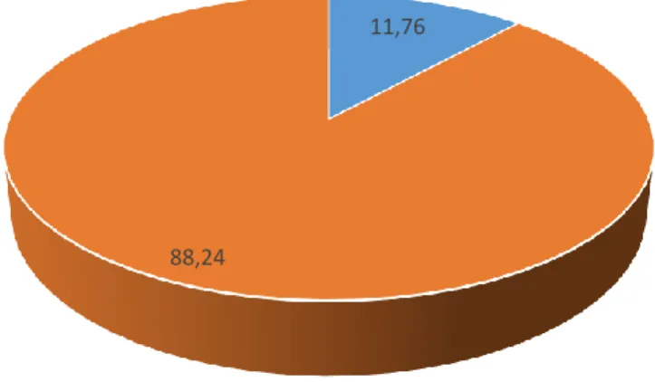 Figura  13.  Porcentaje  de  estudiantes  del  programa  de  formación  que  enseñaron  de 