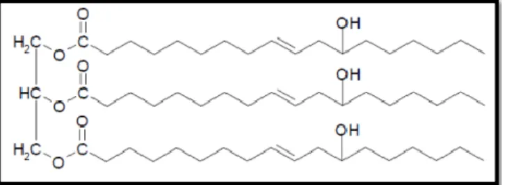 Figura 1. Triglicérido del aceite de ricino 