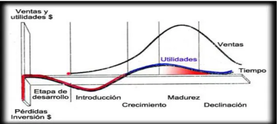 Figura 2. Dinámica del ciclo de vida de un producto 