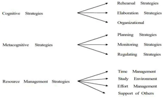 Figure 1. Taxonomy of Learning Strategies. This figure shows the strategies to follow in an autonomous  learning process