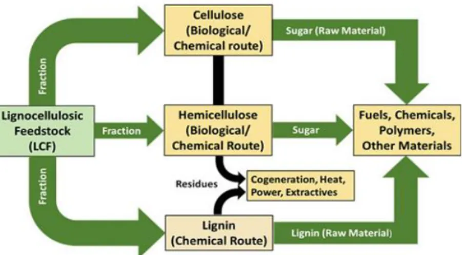 Figura 5. Concepto de biorrefinería para procesar lignocelulosa para obtener bioenergía  Fuente