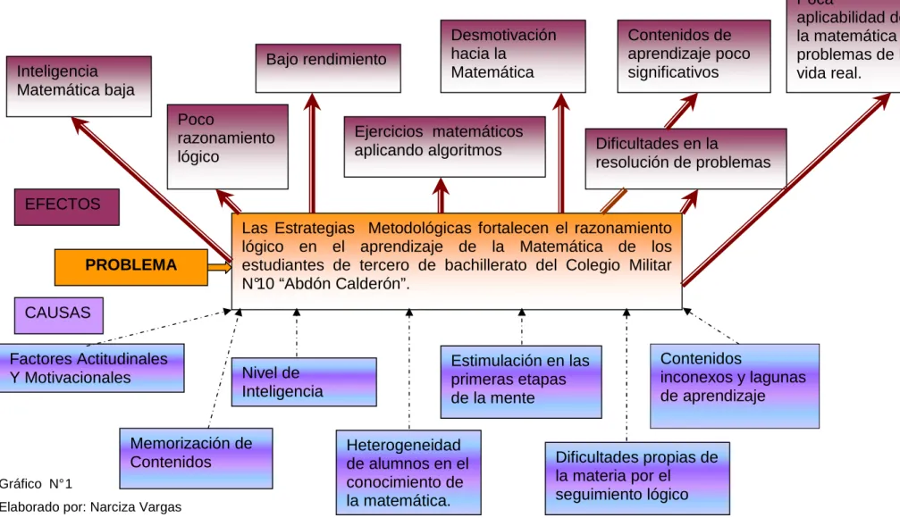 Gráfico  N° 1 