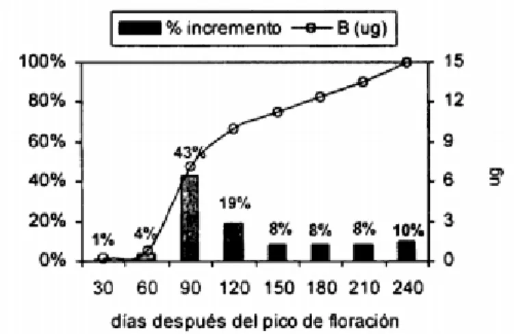 Figura 17. Absorción de B en el desarrollo del fruto de café,  fuente (Ramirez , Bertsch, &amp; Mora, 2002)  