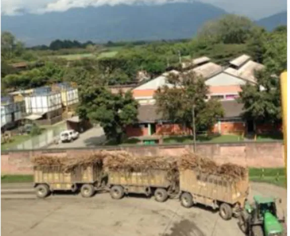 Figura N°10. Transporte de caña. 
