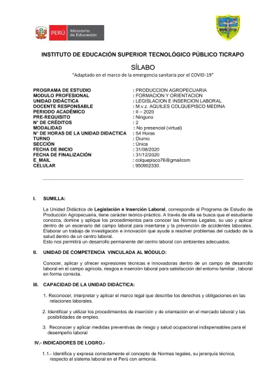 INSTITUTO DE EDUCACIÓN SUPERIOR TECNOLÓGICO PÚBLICO TICRAPO SÍLABO ...