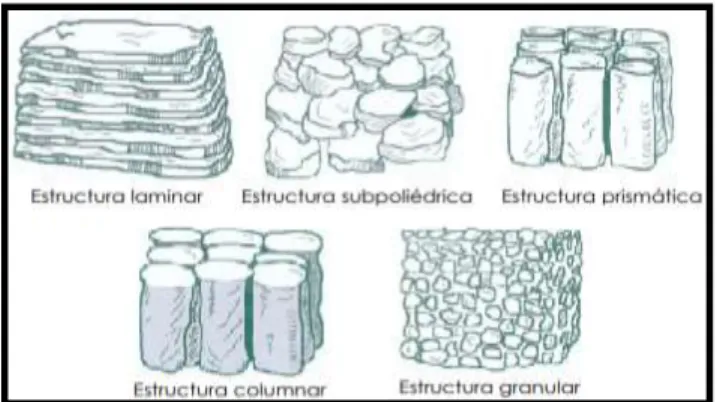 Figura 3.  Tipos de estructuras en la formación de agregados en suelos. 