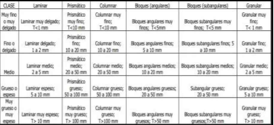 Tabla 2. Clase de estructura en la formación de agregados del suelo. 