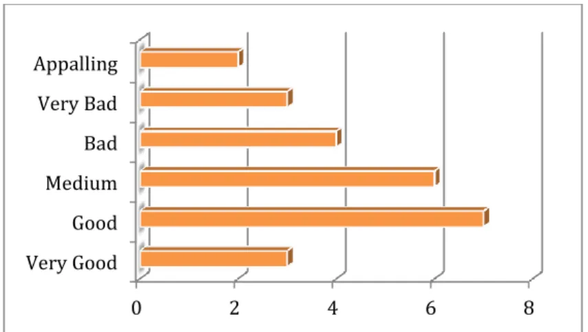 Figure 12 Language Teaching in Palmira 