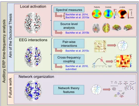 Figure 1.7: Hierarchical analysis of EEG data. A two-level of analysis has been applied in this Doctoral Thesis, which characterizes: (i) functional segregation by means of local activation; and (ii) functional integration analyzing EEG interactions