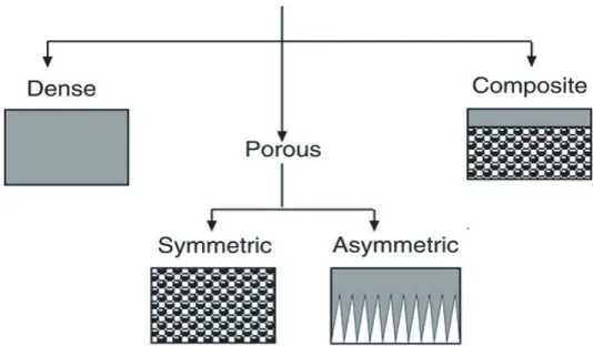 Figure 1.3: Membrane porosity of upper and lower parts of a membrane as imaged by SEM