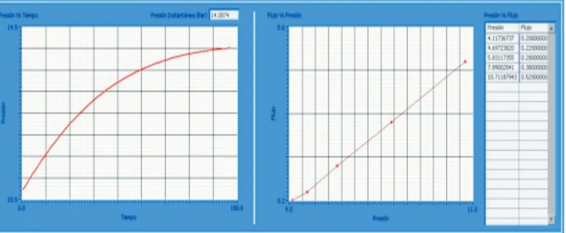 Figure 2.7: Output values screen Pressure and Flux.