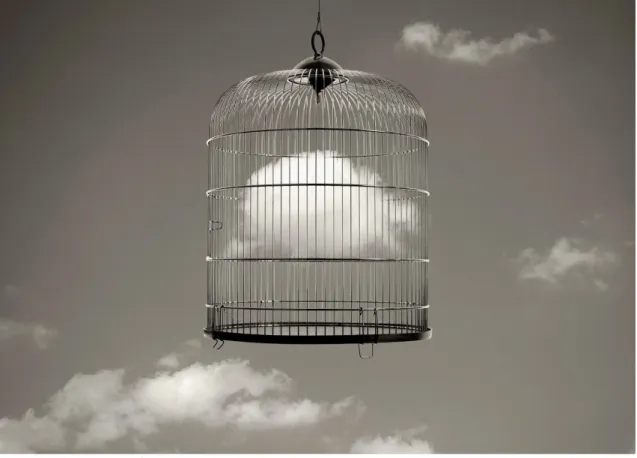 Fig.	  12.	  Madoz.	  Nube-­‐Jaula,	  2003 	  