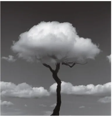 Fig.	  15.	  Madoz.	  Árbol-­‐Nube.	  2006-­‐2009	  
