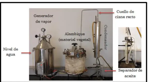 Figura 4. Destilación con arrastre de vapor (Laboratorio de Productos Naturales  Vegetales, Universidad Nacional de Colombia – Sede Bogotá)